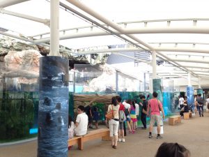 京都水族館11111