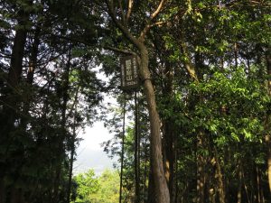 瓢箪崩山12
