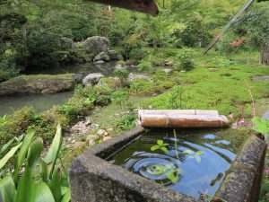 実相院7