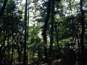瓢箪崩山9