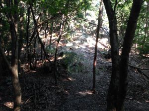 瓢箪崩山8