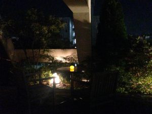 bar oil バー オイル5