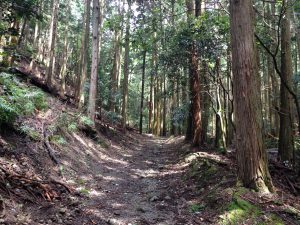 瓢箪崩山6