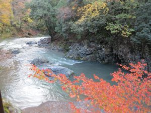 瓦そば松右衛門8