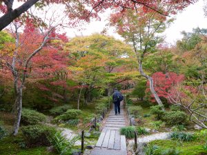 宝筐院5
