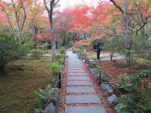 宝筐院3