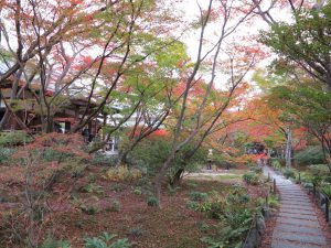 宝筐院2