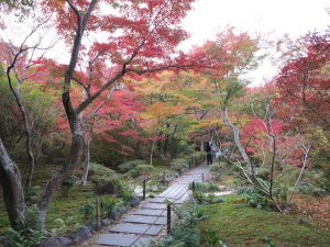宝筐院