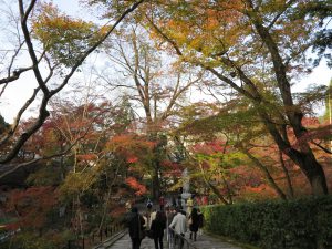 永観堂17