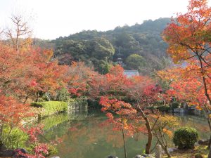 永観堂6