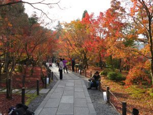 永観堂4