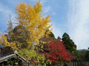 金戒光明寺1