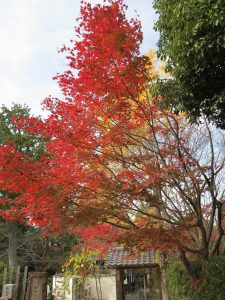 金戒光明寺3