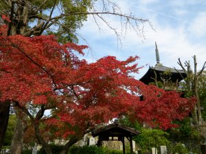 金戒光明寺5