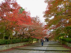 真如堂(真正極楽寺)11