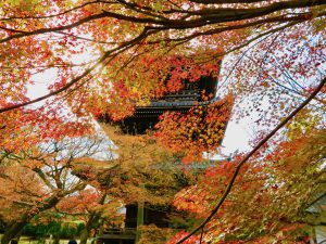真如堂(真正極楽寺)