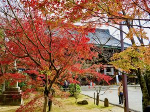 真如堂(真正極楽寺)233