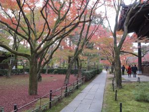 真如堂(真正極楽寺)12121