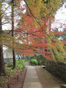 真如堂(真正極楽寺)16