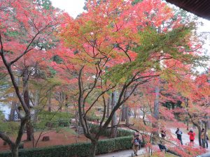 真如堂(真正極楽寺)45