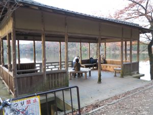 宝ヶ池公園紅葉16