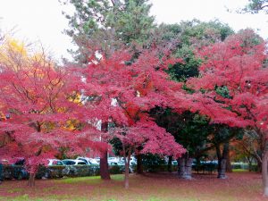 京都御苑23