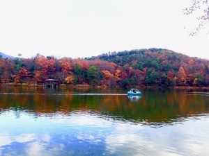 宝ヶ池公園紅葉9
