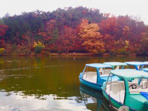宝ヶ池公園紅葉8