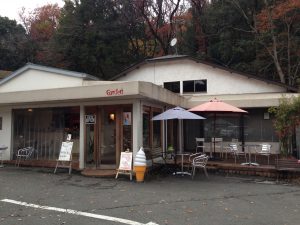 宝ヶ池公園紅葉7