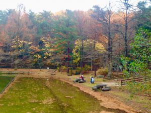 宝ヶ池公園紅葉5