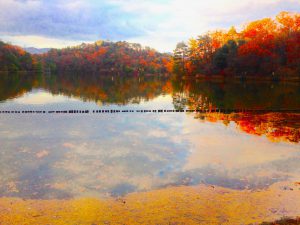 宝ヶ池公園紅葉4