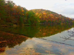 宝ヶ池公園紅葉3