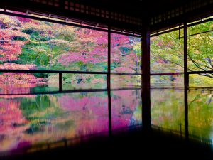 瑠璃光院e