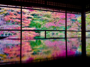 瑠璃光院w
