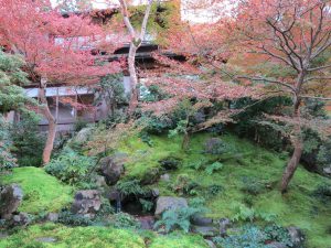 瑠璃光院10