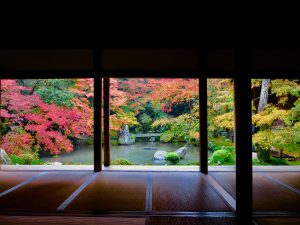 蓮華寺紅葉9