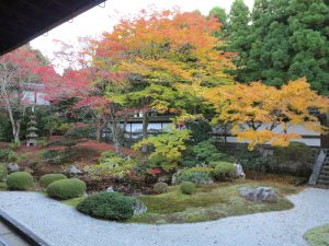 泉桶寺紅葉6