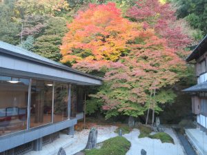 泉桶寺紅葉78
