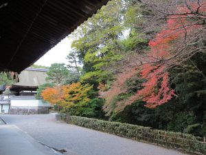 泉桶寺紅葉13