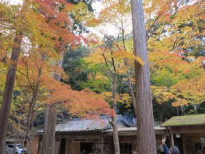 神護寺紅葉112234