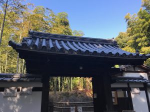 指月庵紅葉