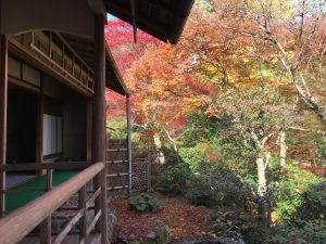 指月庵紅葉9
