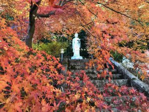 指月庵紅葉14