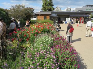 京都府立植物園34