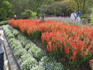 京都府立植物園33