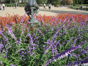 京都府立植物園24