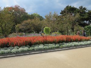 京都府立植物園28
