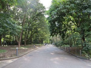 京都府立植物園