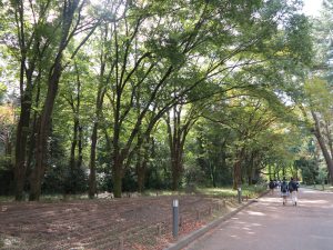 京都府立植物園27