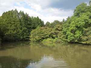 京都府立植物園25